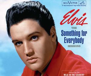 Elvis Presley - the something for everybody sessions - 4 cd - Follow That Dream - FTD 2