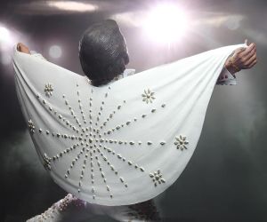 Elvis on tour - figurine - statue 4