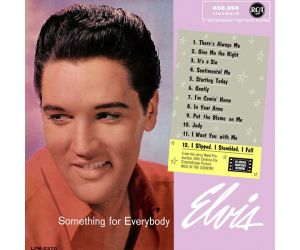 COMING SOON - Something For Everybody - liquid vinyl - ltd edition LP * COMING SOON 3