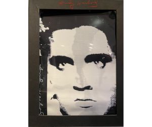 Elvis Presley - Duvet - Dekbedovertrek - 1 persoons - Andy Warhol 2