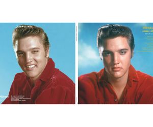Elvis Presley - A Date With Elvis & or Lp Fans Only - 2 LP - pick your colour 4