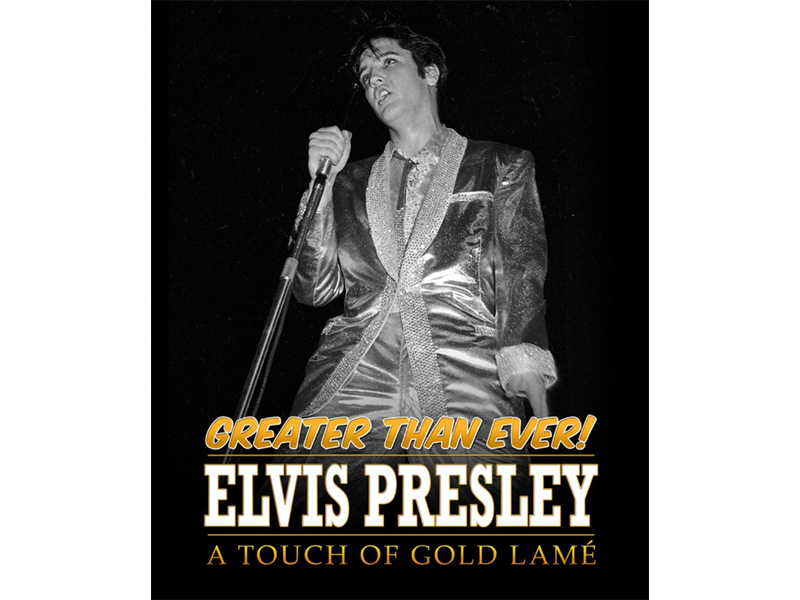 a touch of gold lame - book